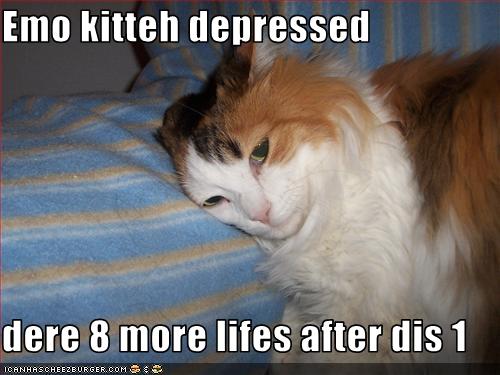 funny-pictures-cat-is-depressed.jpg