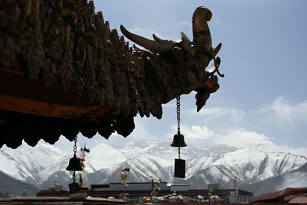 20-03tibet64.jpg